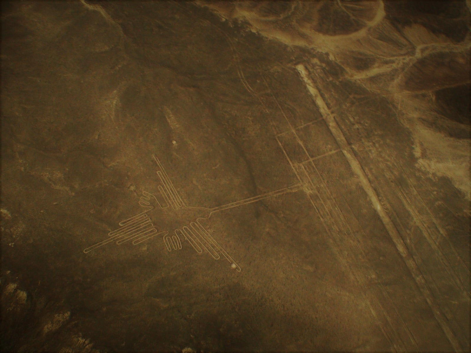 Pássaro - petroglifos nas linhas de Nazca. Foto: Ana Arantes