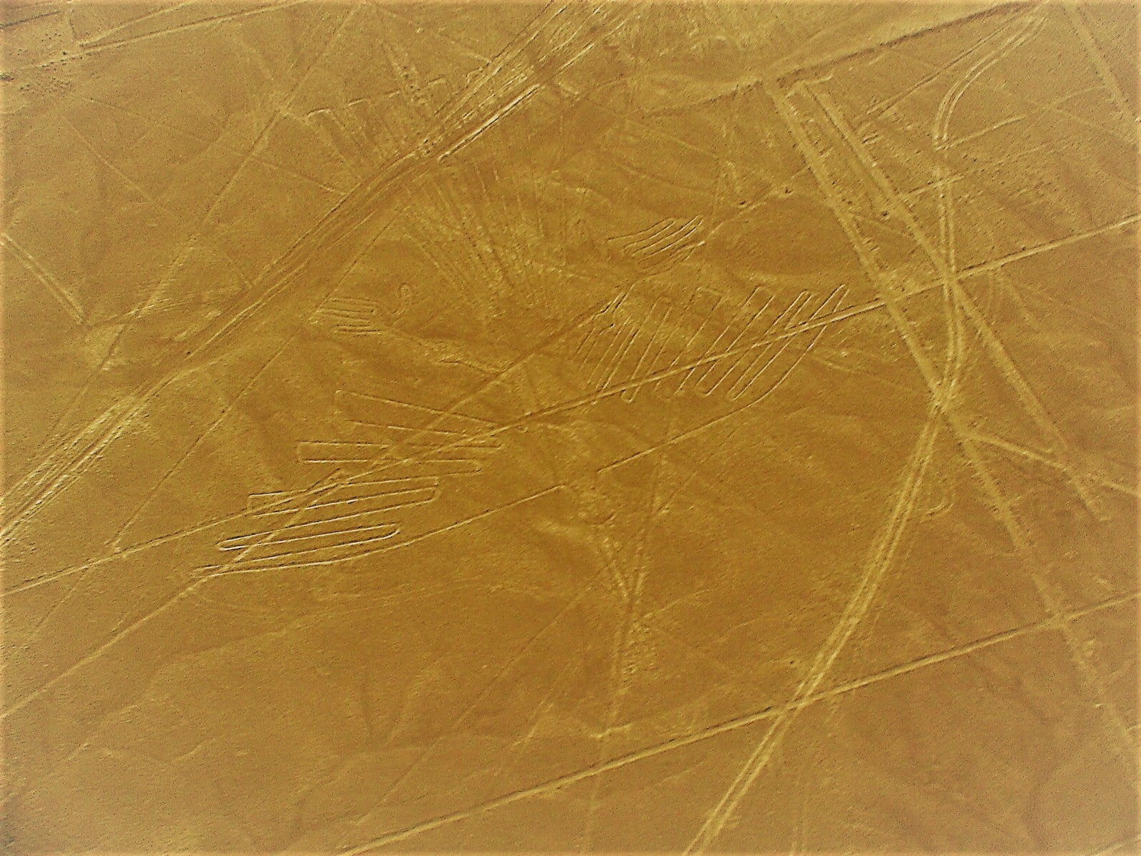 Condor - petroglifos nas linhas de Nazca. Foto: Ana Arantes