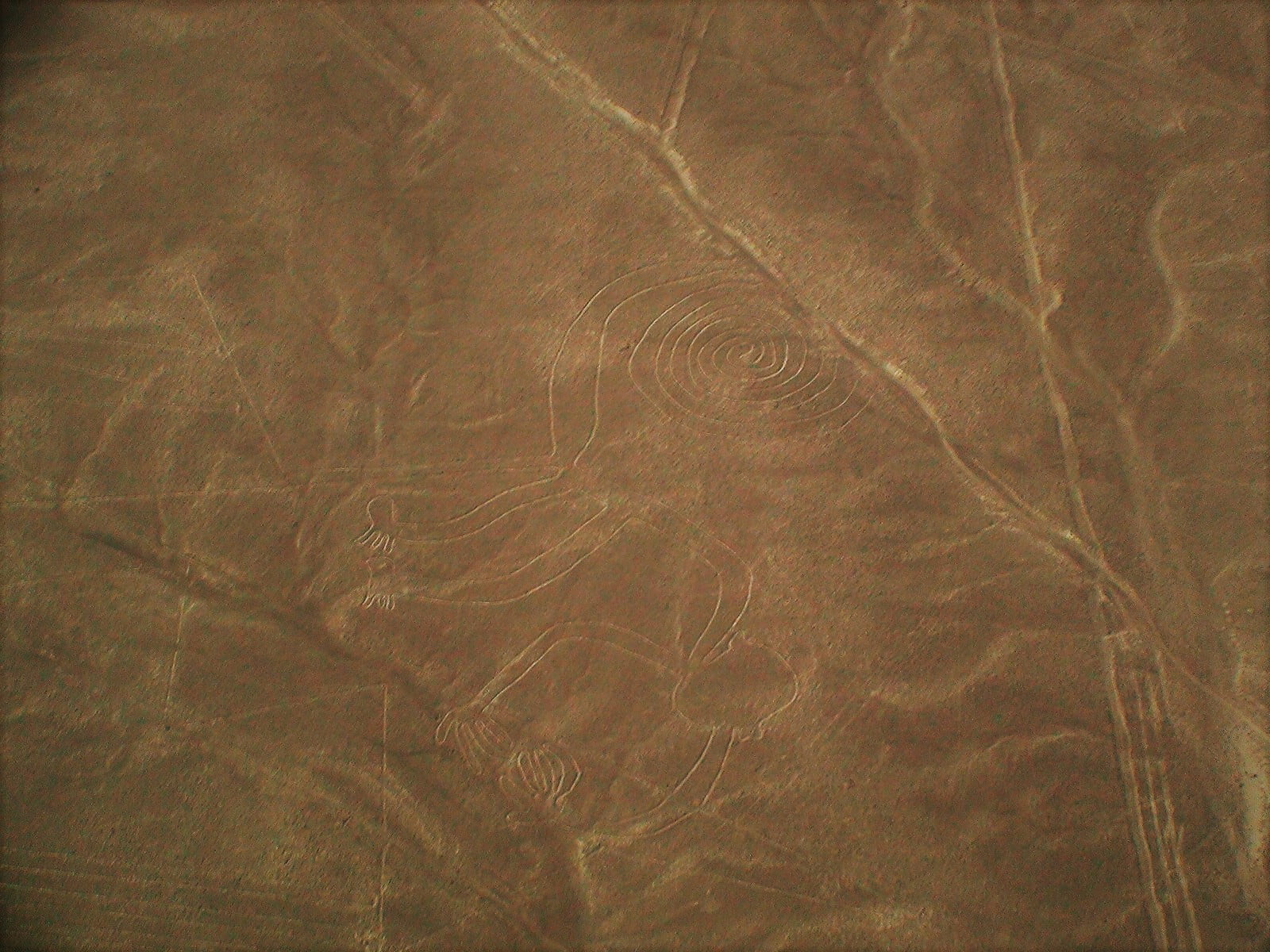 Petroglifos nas linhas de Nazca. Foto: Ana Arantes.