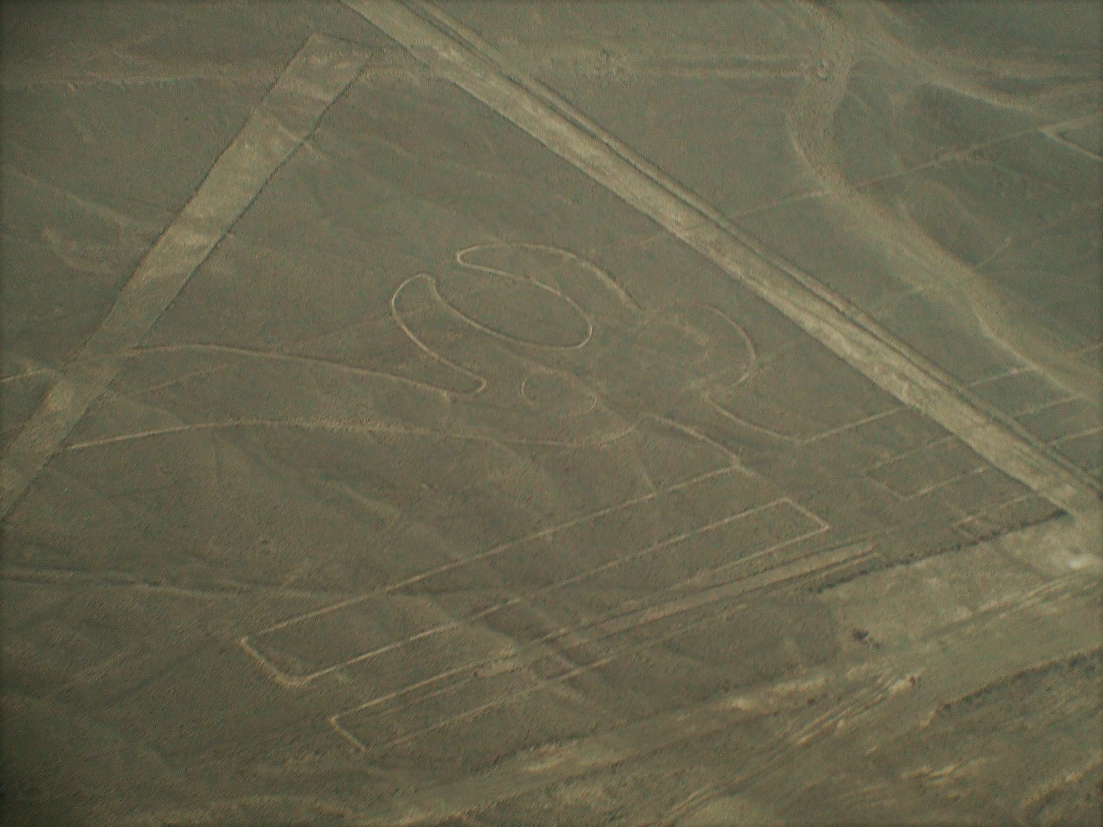 Petroglifos nas linhas de Nazca. Foto: Ana Arantes.