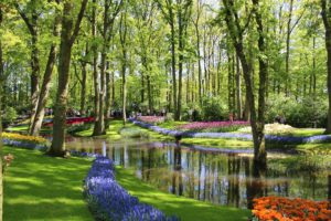 Amsterda - Parque das Tulipas em Amsterdã Amsterdã