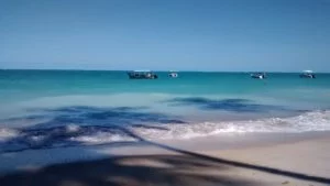 Travelbrazil-Maragogi, Alagoass. 