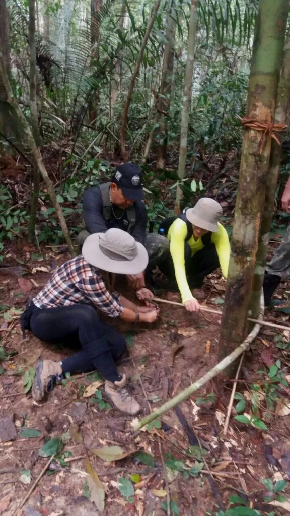 Sobrevivenca na selva amazonica