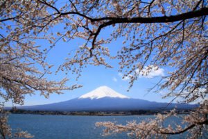 Japão uma viagem incrível - para quem tem pouco tempo para visitar - Japão express